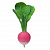 OLI&CAROLПрорезыватель RAMONA THE RADISH